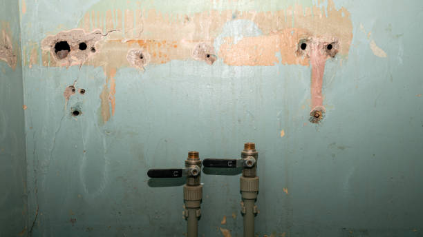 Best Commercial water damage restoration  in Falling Waters, WV