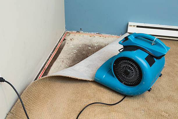  Falling Waters, WV Water damage restoration Pros
